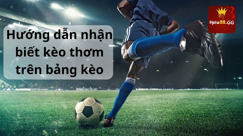 Hướng dẫn nhận biết kèo thơm trên bảng kèo