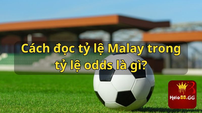 Cách đọc tỷ lệ Malay trong tỷ lệ odds là gì?