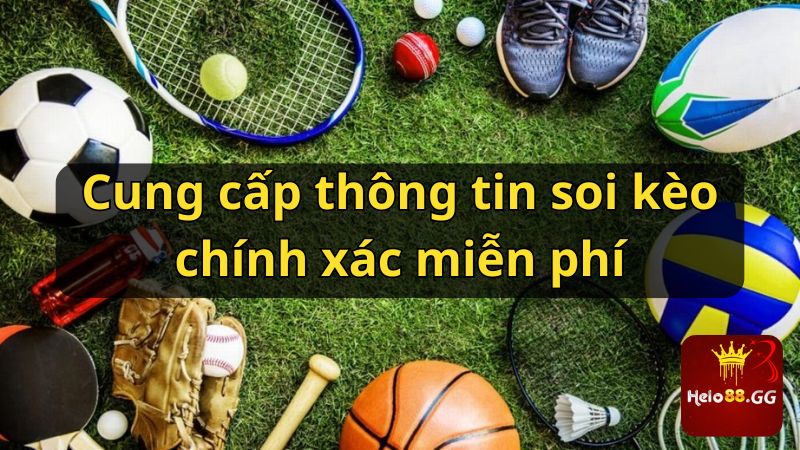 Cung cấp thông tin soi kèo chính xác miễn phí